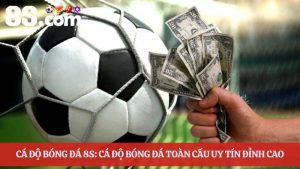 Cá độ bóng đá 8S