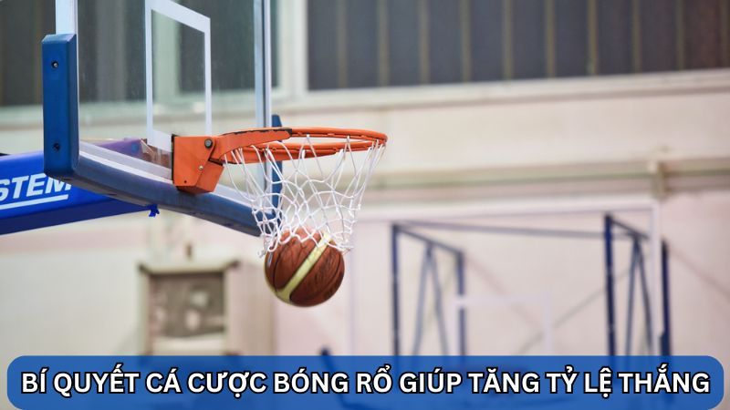 cá cược bóng rổ 8S