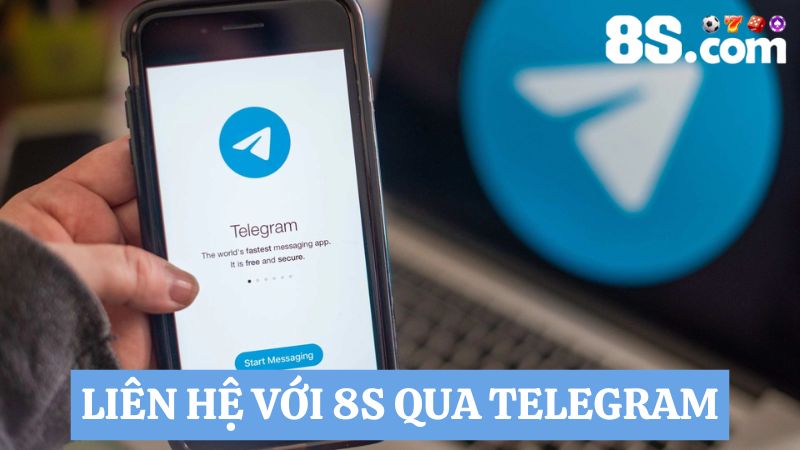 Liên hệ 8S qua telegram