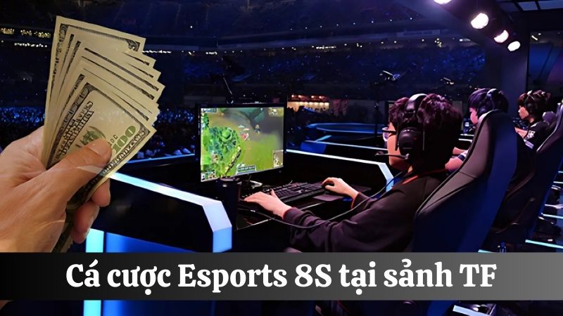 Esports 8S sảnh TF